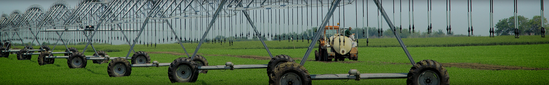 Agribusiness