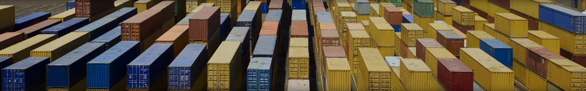 Import Export Business